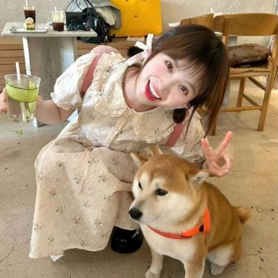 光合计划